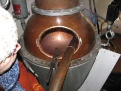 Brennfestle 2011 20
