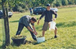 Obsternte 2006 07