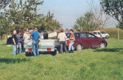 Obsternte 2006 11