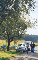 Obsternte 2006 17