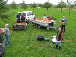 Obsternte 2007 13