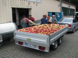 Obsternte 2007 22