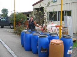 Obsternte 2007 31