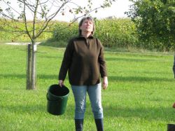 Obsternte 2009 10