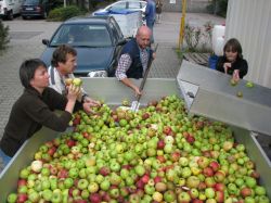 Obsternte 2009 19
