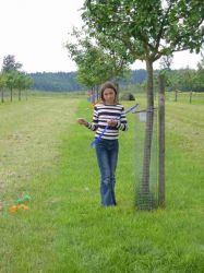 Obstler Fest 2005 06 11 009