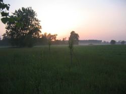 Sonnwend 2006 19